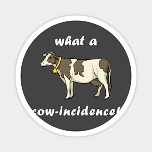 What a Cow-Incidence! Magnet